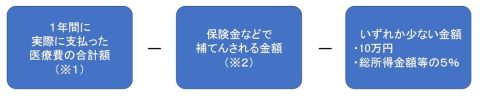 医療費控除の対象となる金額